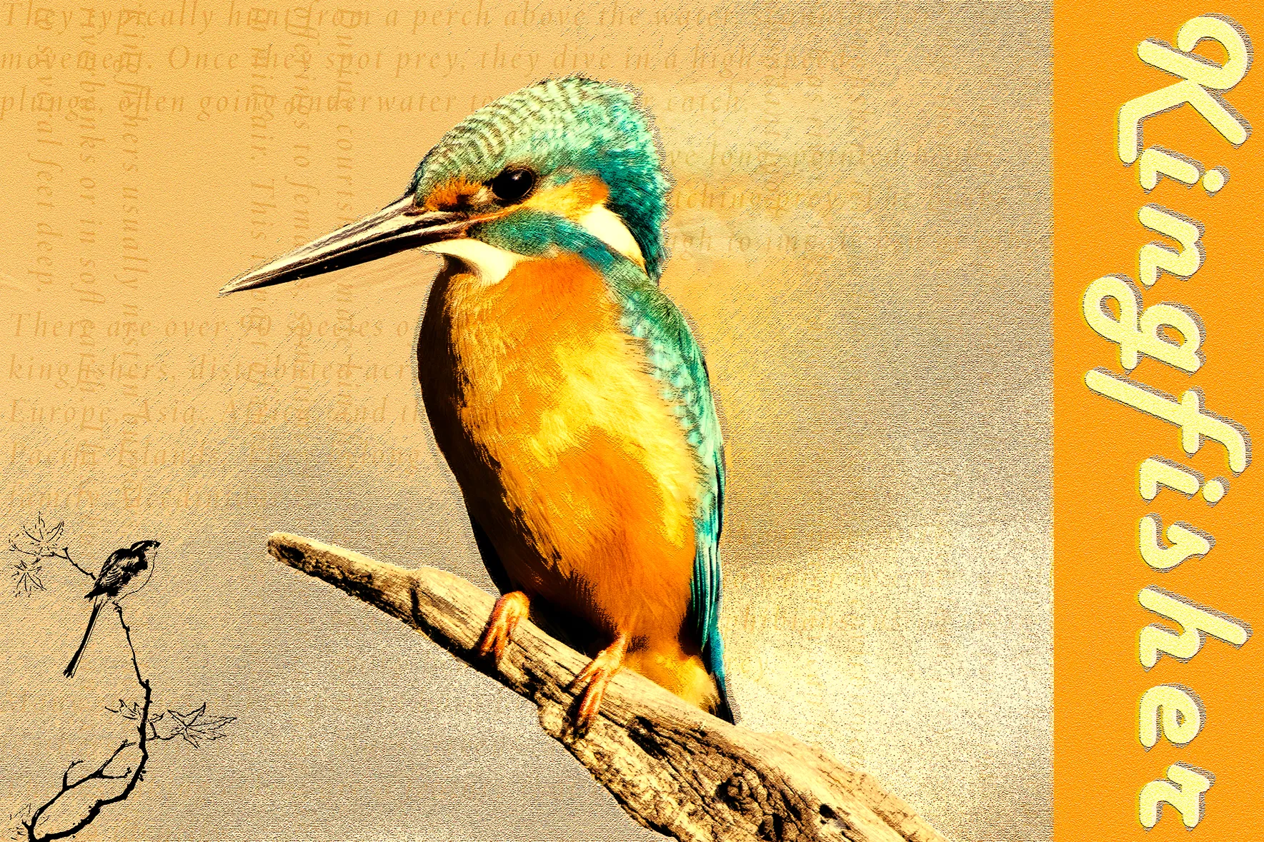 Poster 34, “Kingfisher” — the bird that later inspired the Halcyon Systems logo direction